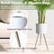 Faux Trees Indoor with White Planter - Tall Artificial Plants Indoor - Fake Large Floor Plants for Home Decor Indoor